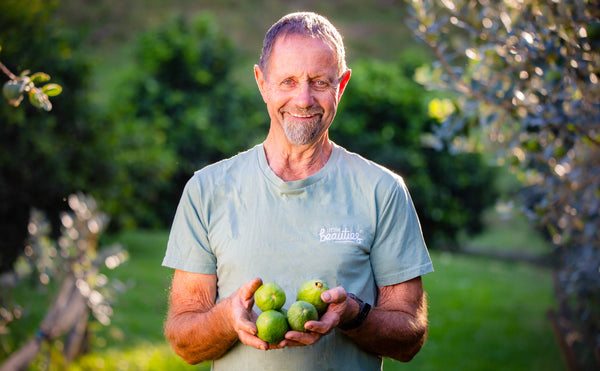 feijoa fruit for sale